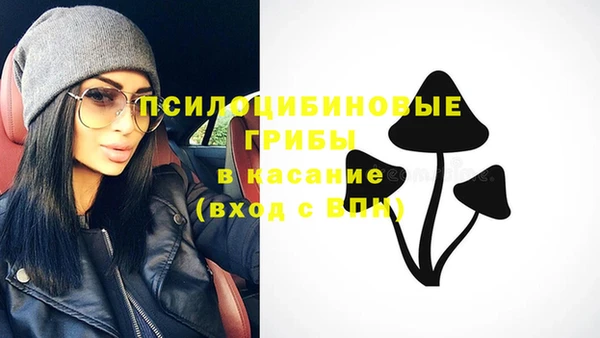 гашик Алексин