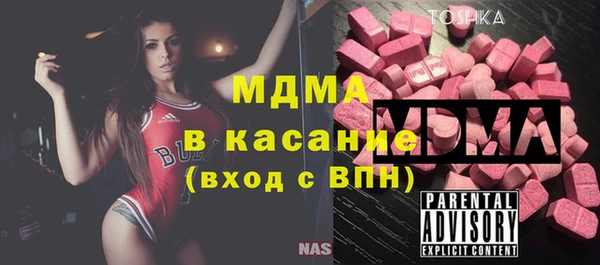 гашик Алексин