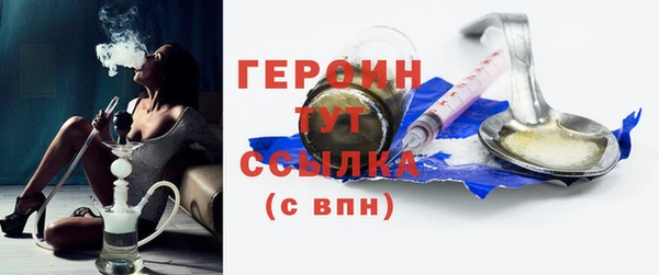 гашик Алексин