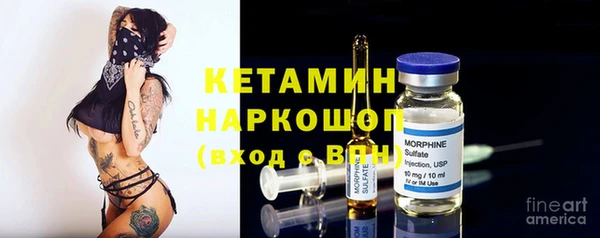 гашик Алексин