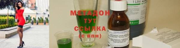 гашик Алексин