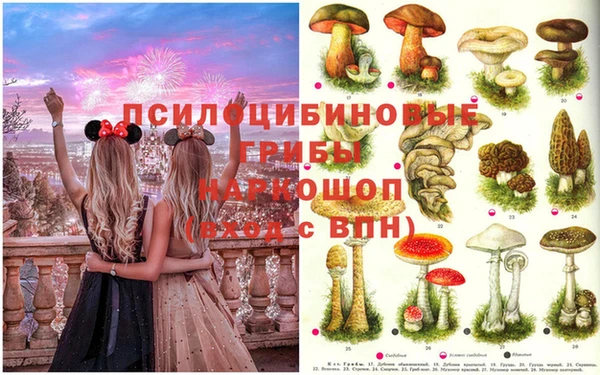 гашик Алексин