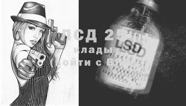 гашик Алексин