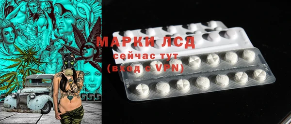 гашик Алексин