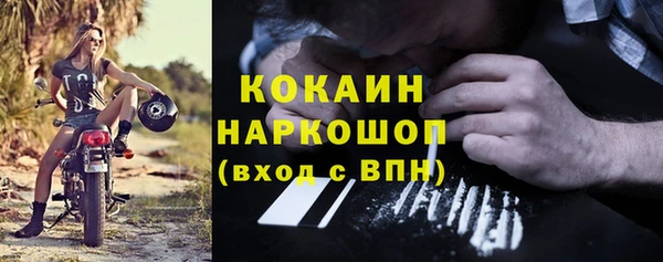 гашик Алексин