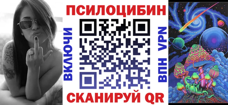 Галлюциногенные грибы Psilocybe  Сосновка 